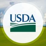 USDA Updates Cash Cattle Reports to Improve Market Transparency — NewsDakota